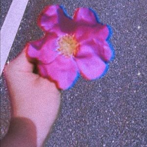 Meet your Posher, Marion